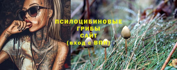 скорость Богородицк