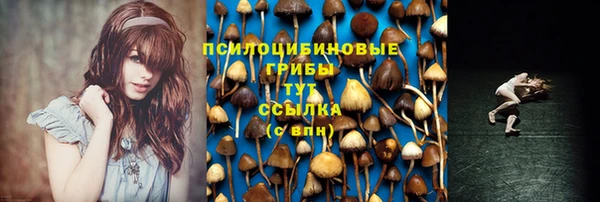 скорость Богородицк