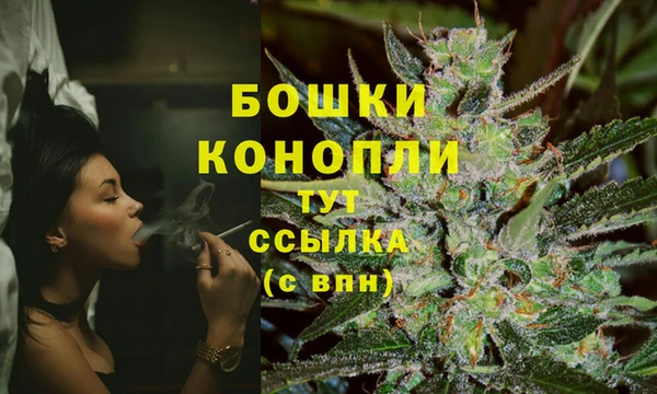 2c-b Туринск