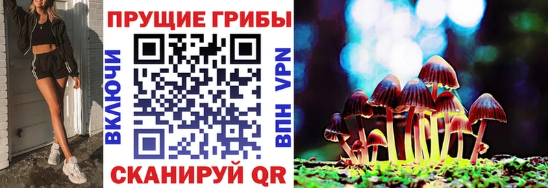 Галлюциногенные грибы прущие грибы  купить   гидра ссылки  Кировск 