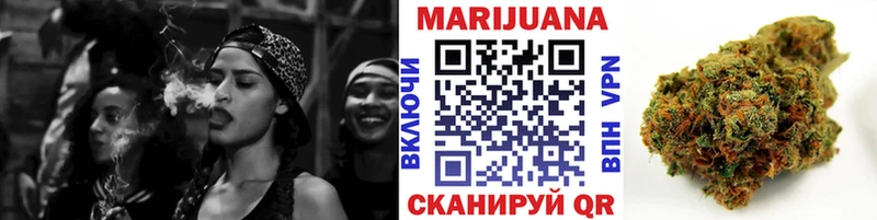 Бошки Шишки конопля  где купить наркотик  Кировск 